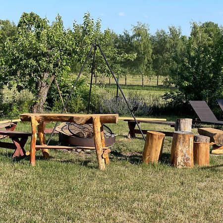 Gawramaszki - Apartamenty i Pokoje Gościnne Węgorzewo Zewnętrze zdjęcie